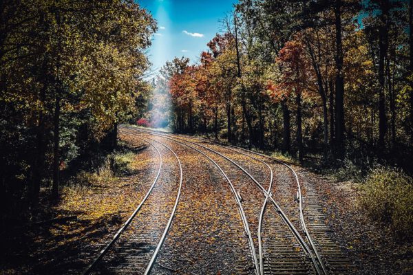 autumn-limited-train-ride