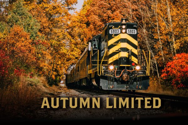 autumn-limited-2024-banner