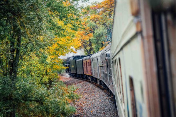 fall-color-steam-train-ride