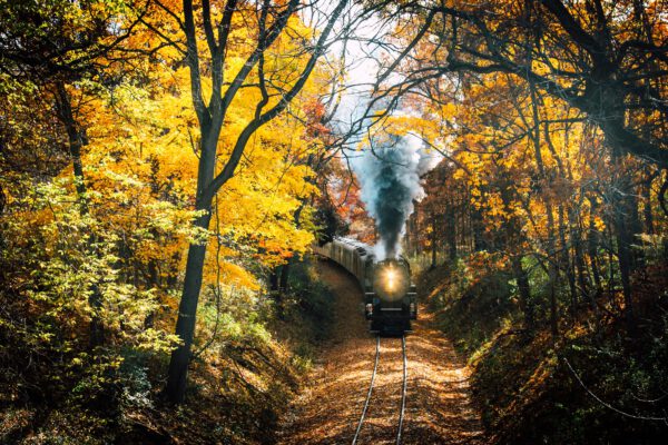 indiana-autumn-color-train-ride-nickel-plate-road-765