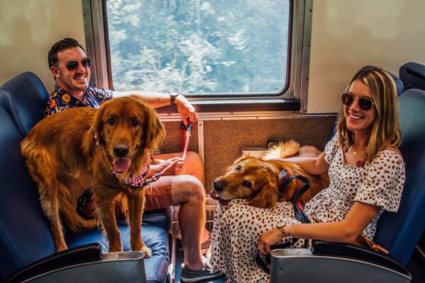 indiana-train-for-dogs