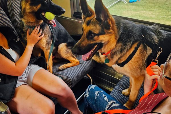 pet-friendly-trains-indiana