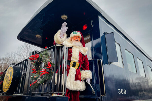 private-christmas-train