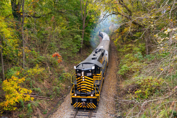 Nickel Plate SD9 cigar train 4
Engineer Will Carney notches up the throttle on SD9 No. 358 as the Rocky Patel Rolling Smoke Cigar Train is seen from Fox Lake Road in Angola, Indiana on Oct. 12, 2024.
Steve Smedley