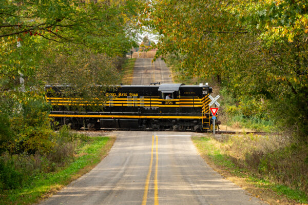 Nickel Plate SD9 cigar train 8
Nickel Plate Road SD9 No. 358 rolls across Bott Road North of Montgomery, Michigan with the cigar train.
Steve Smedley